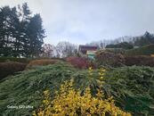 Prodej chaty v Kdyni u Domažlic, cena 1400000 CZK / objekt, nabízí 